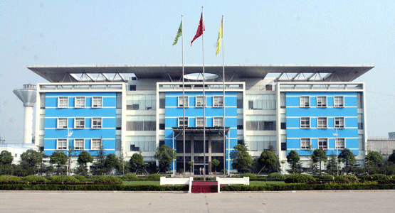 山東TIKTOK色板国际版免费网页光電科技有限公司廠家工廠實拍圖片